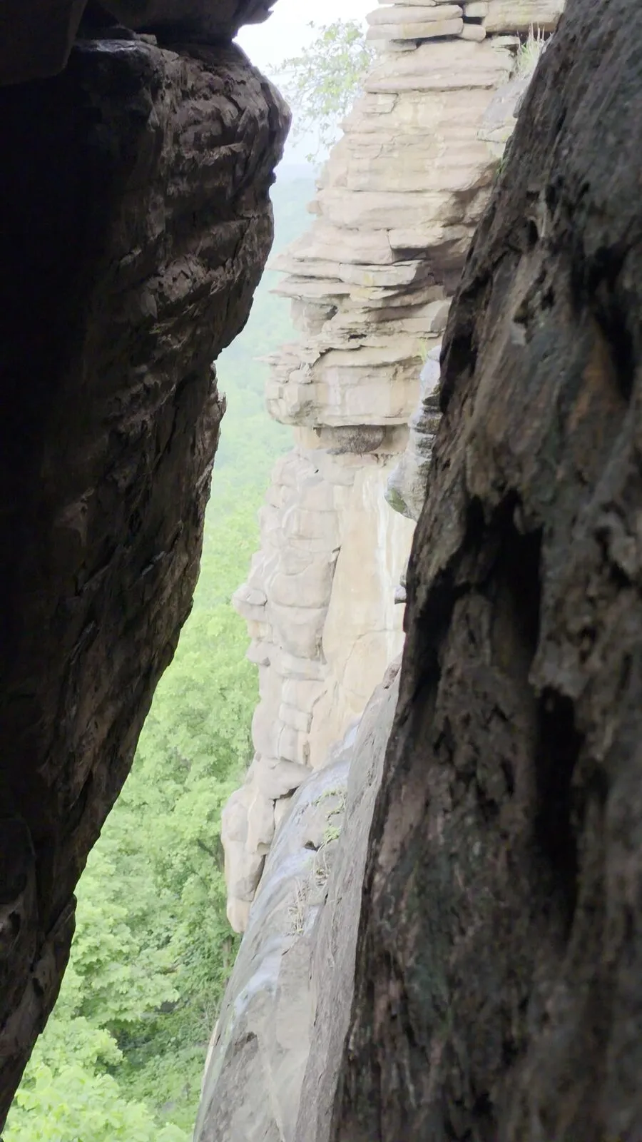 squeezing through the cleft