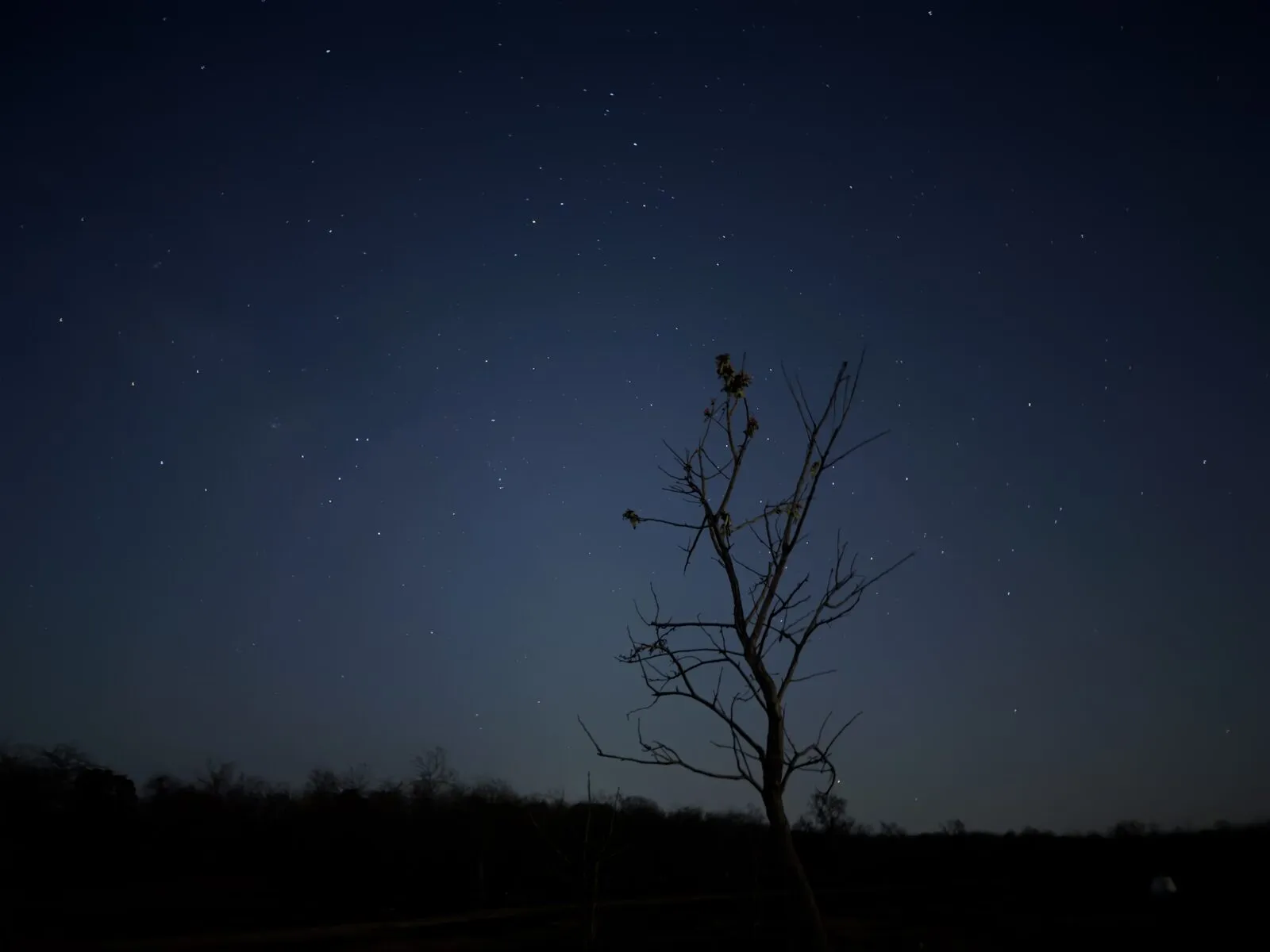 stars over camp