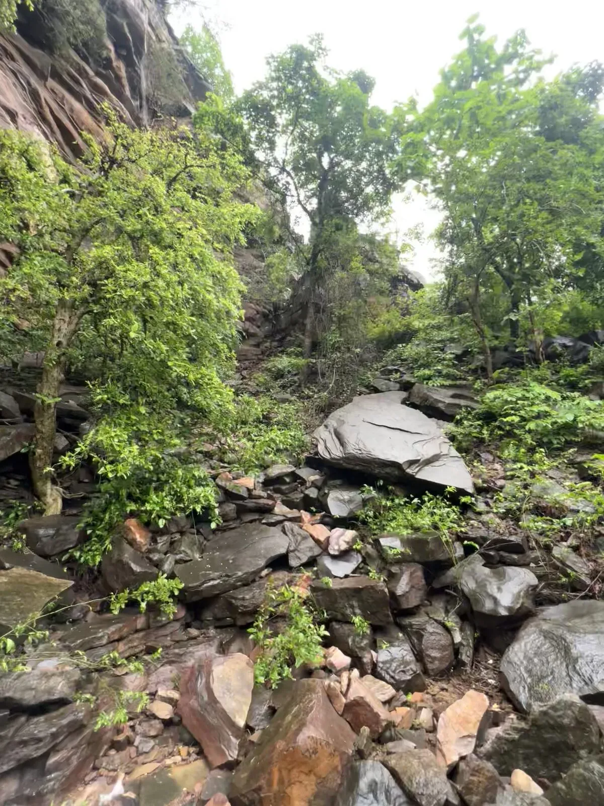 boulder stream