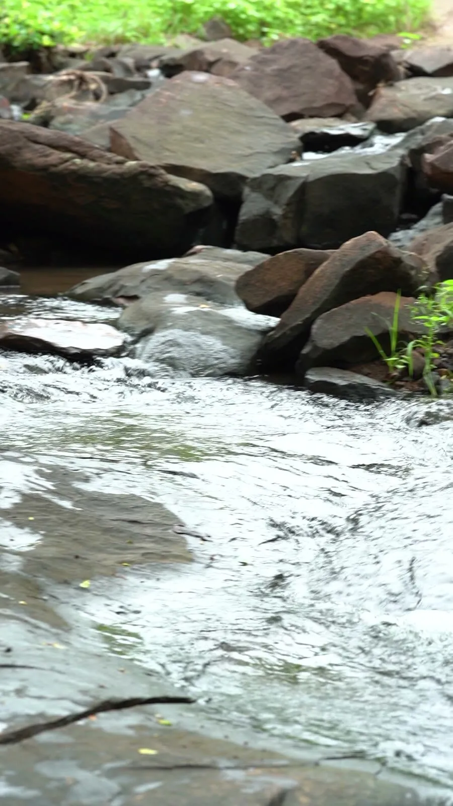 monsoon stream · jul